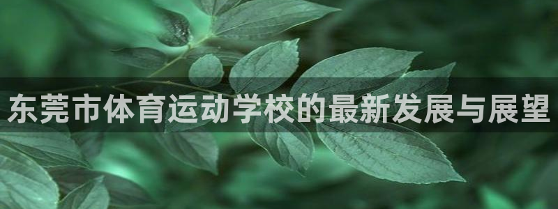 凯发官网下载招商电话是多少号码:东莞市体育运动学校的最新发展