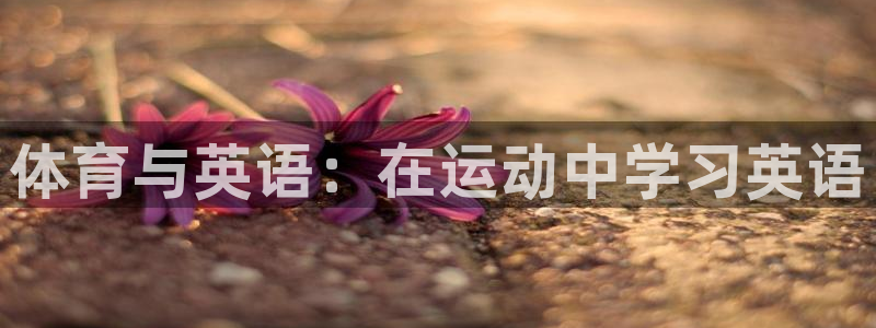 凯发官网下载是干嘛的公司:体育与英语:在运动中学习英语